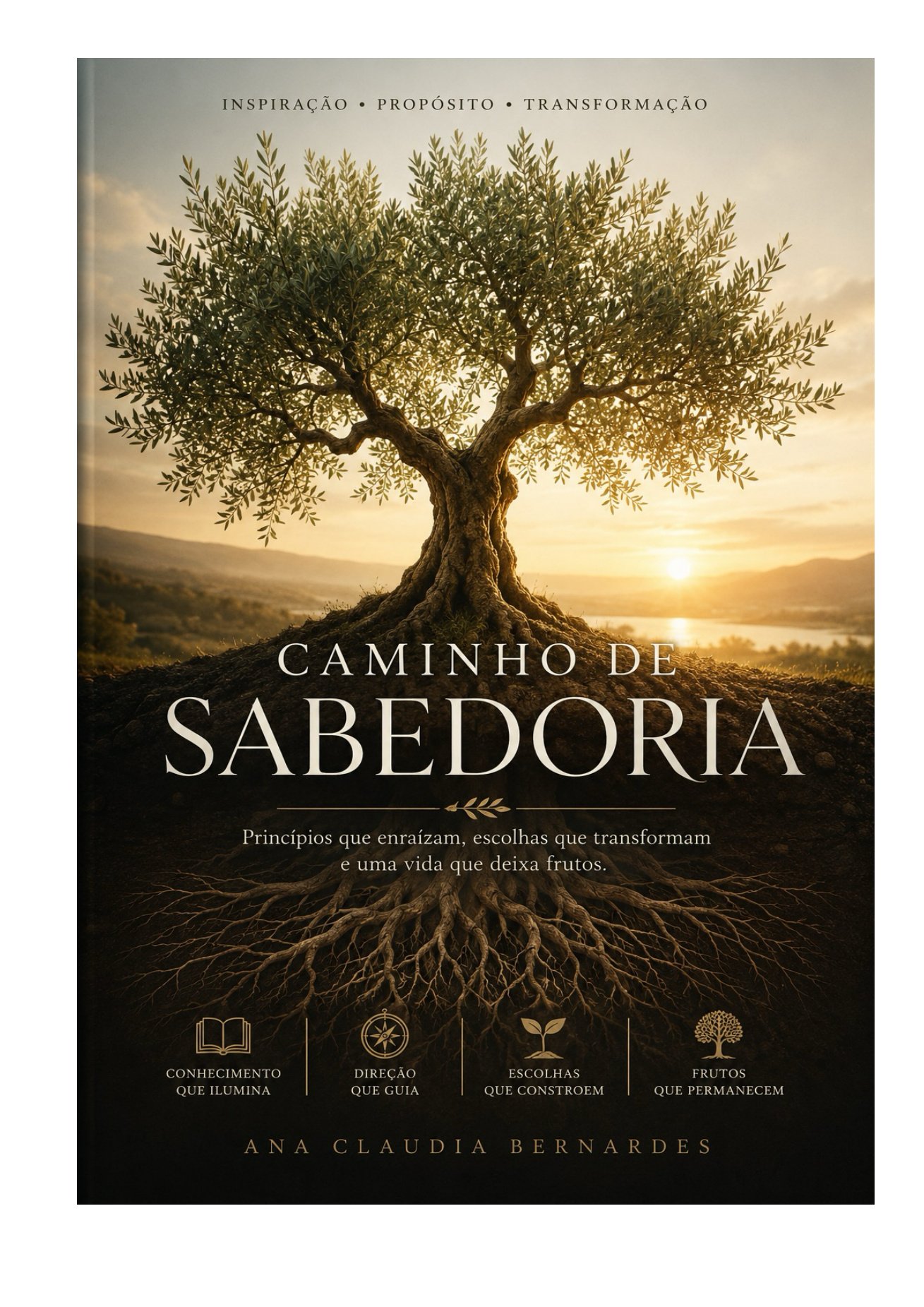 Capa oficial do livro Caminho de Sabedoria